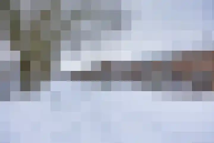 Vegilinstraat 23 Sint Nicolaasga thumbnail 34