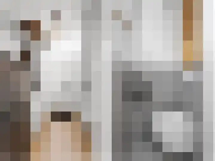 Vegilinstraat 23 Sint Nicolaasga thumbnail 6