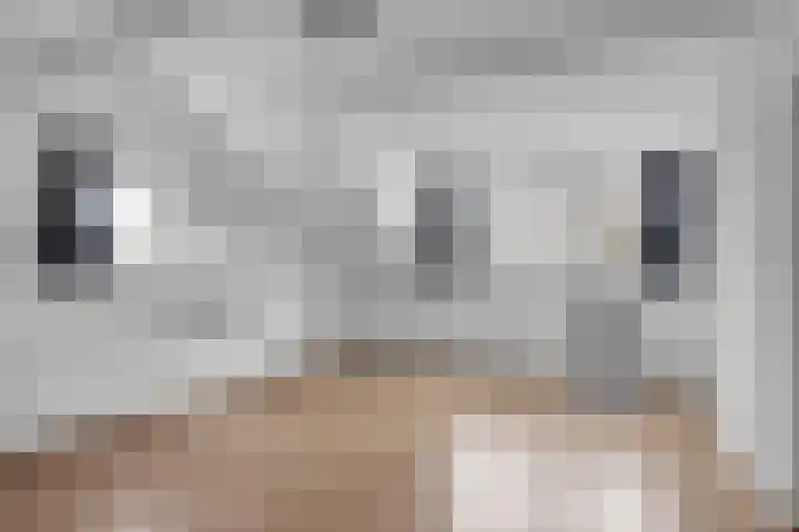 Vegilinstraat 40 Sint Nicolaasga thumbnail 18