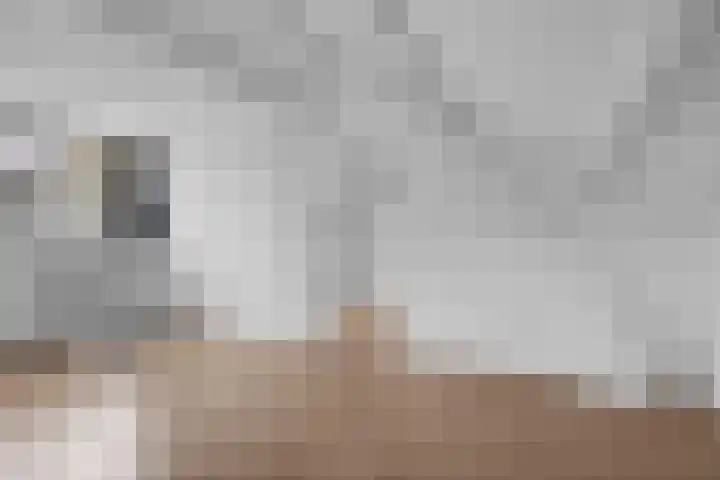 Vegilinstraat 40 Sint Nicolaasga thumbnail 20
