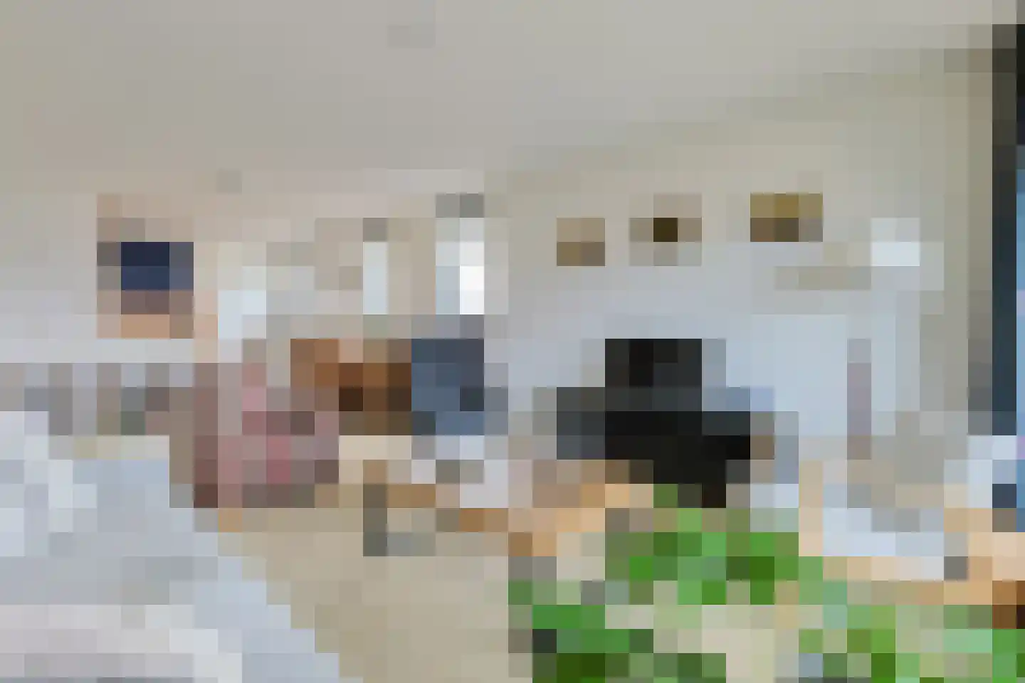 Vegmolaan 11 Leiderdorp thumbnail 10