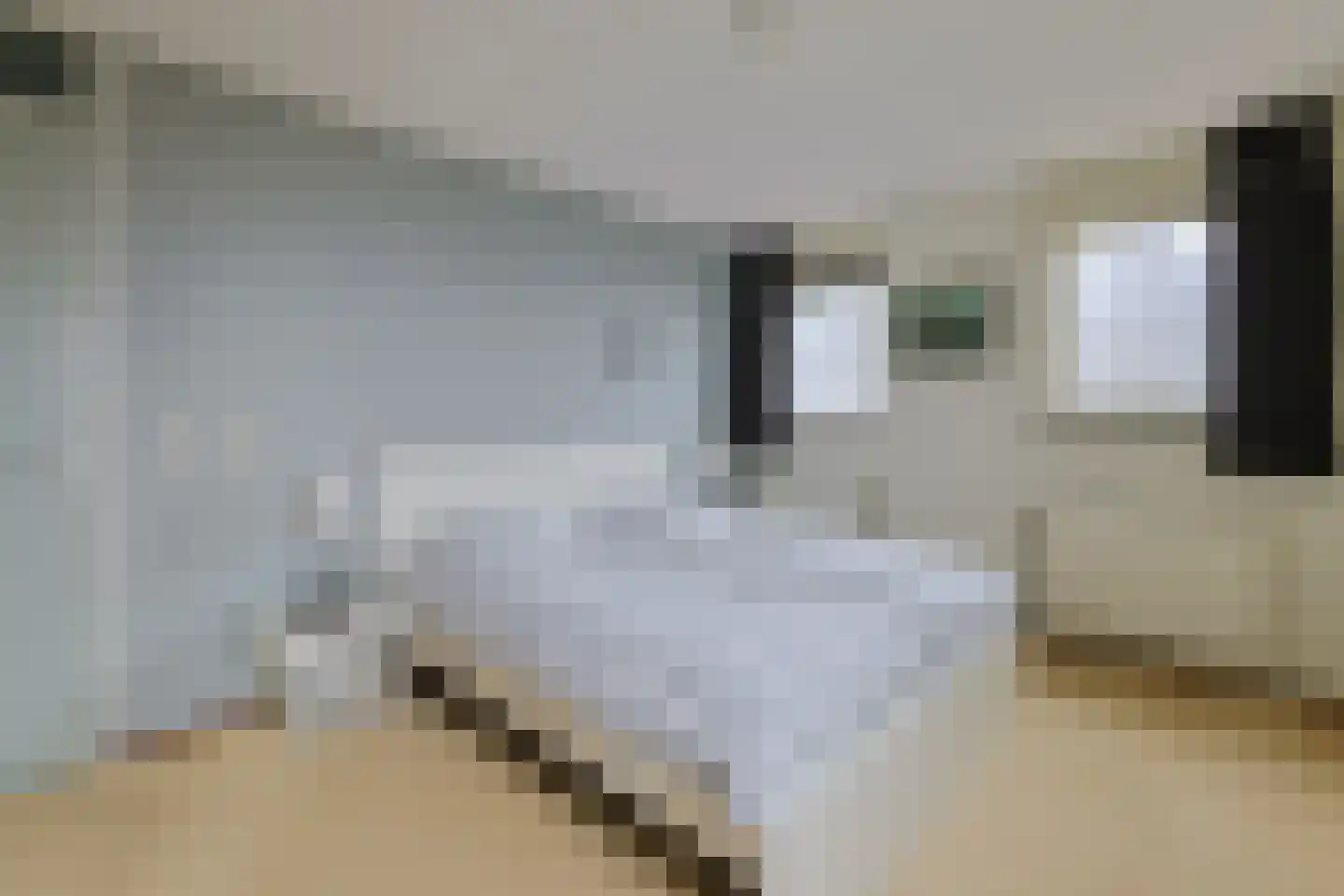 Vegmolaan 11 Leiderdorp thumbnail 13