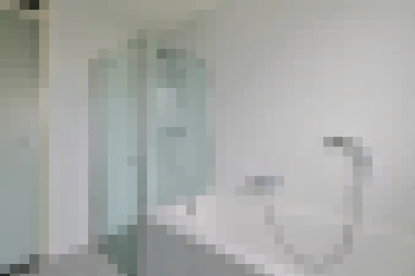 Vegmolaan 11 Leiderdorp thumbnail 20