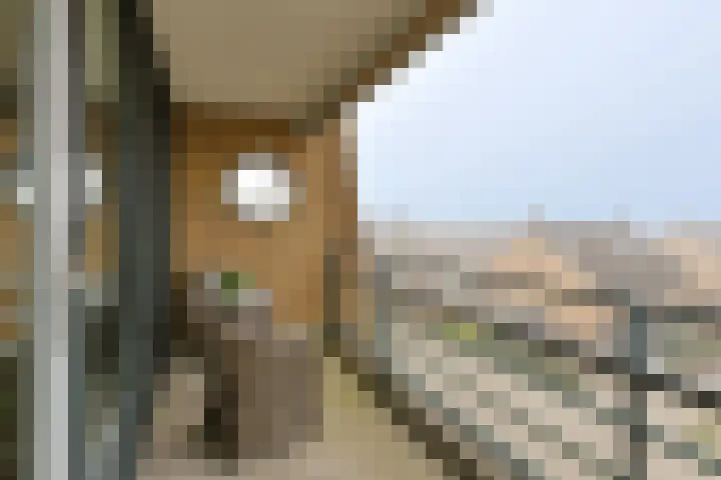 Vegmolaan 11 Leiderdorp thumbnail 22