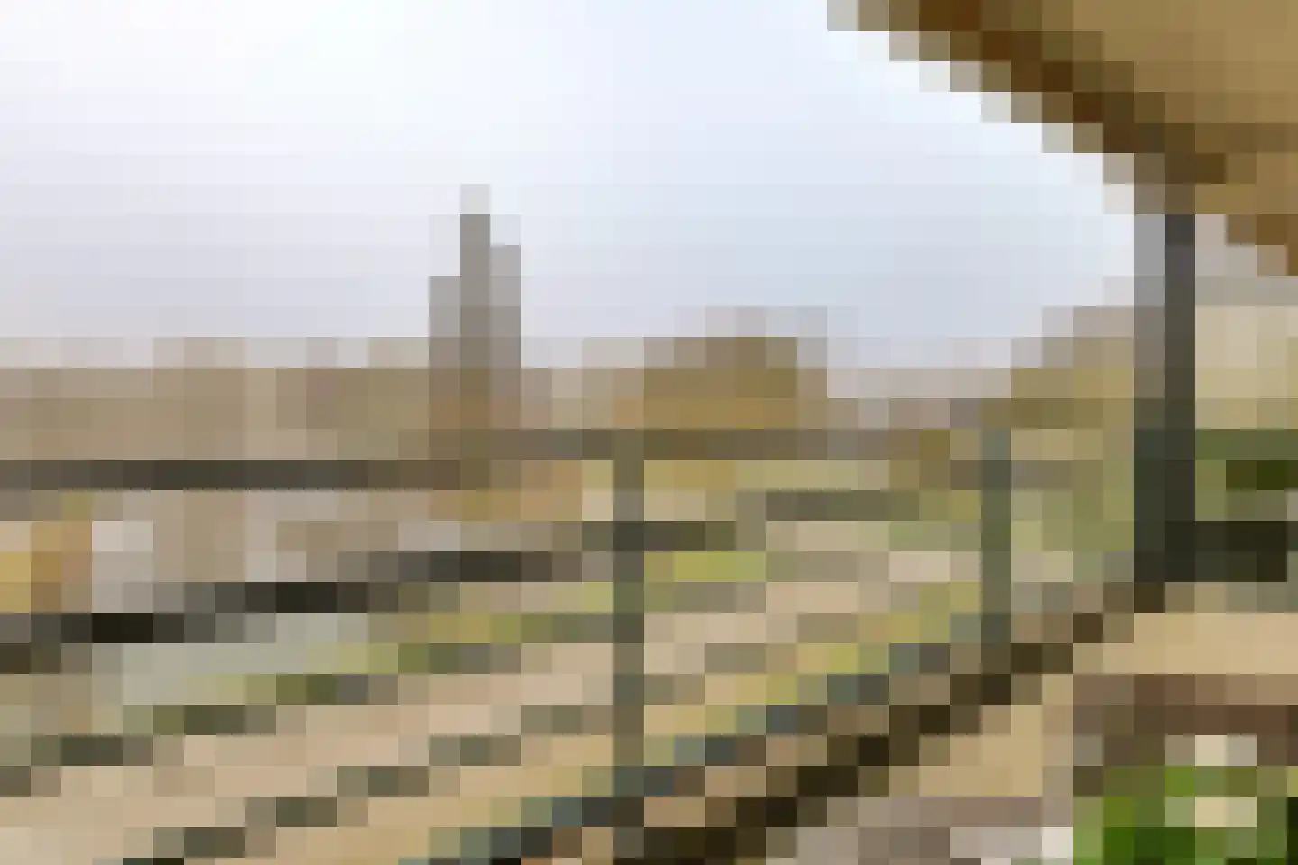 Vegmolaan 11 Leiderdorp thumbnail 4