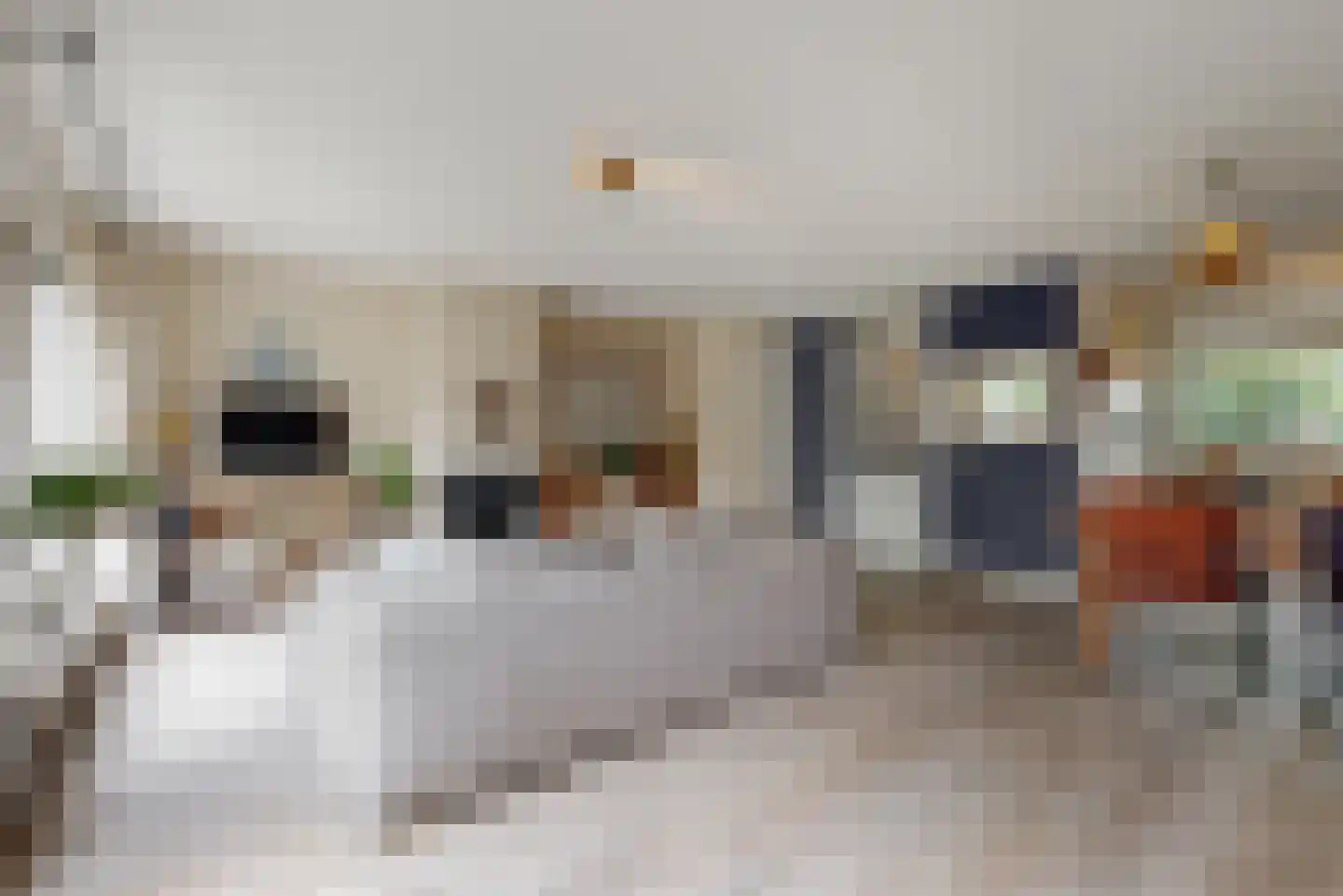 Vegmolaan 14 Leiderdorp thumbnail 11