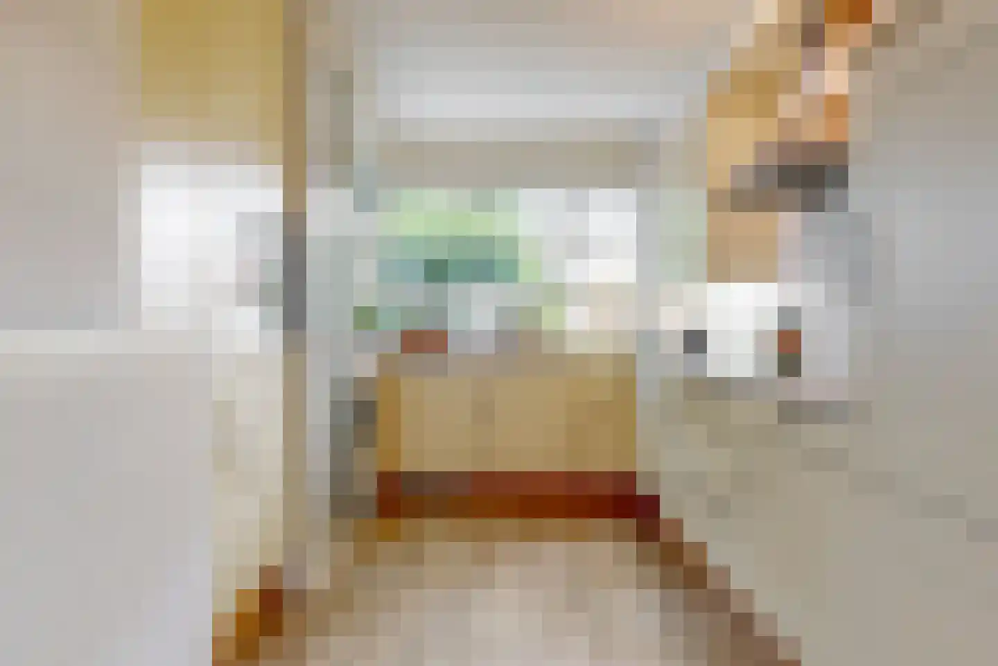 Vegmolaan 14 Leiderdorp thumbnail 13