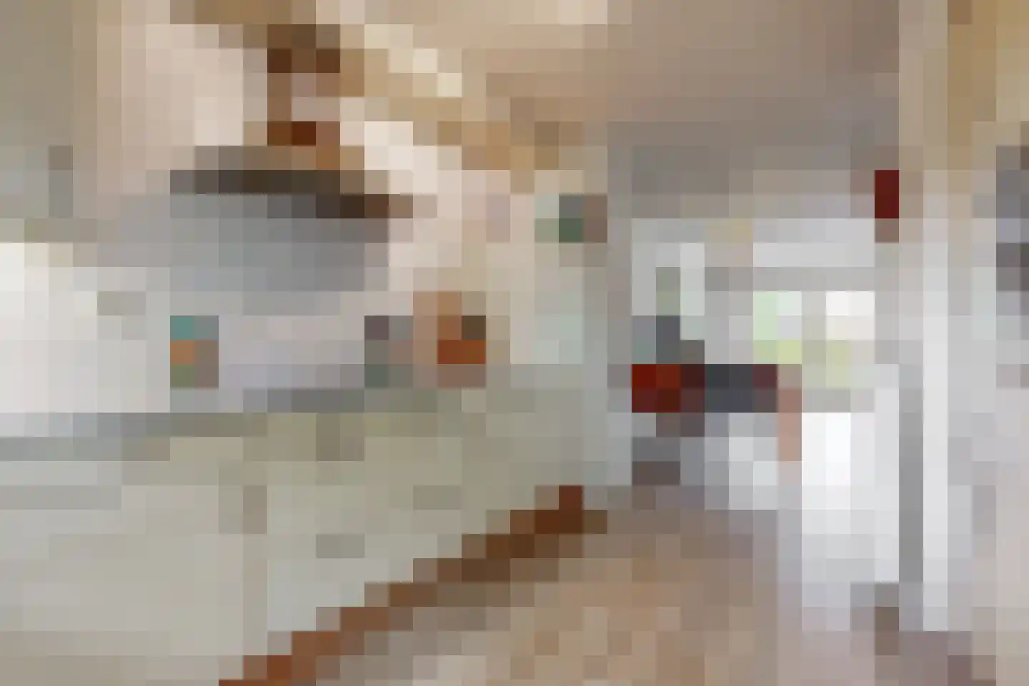 Vegmolaan 14 Leiderdorp thumbnail 15