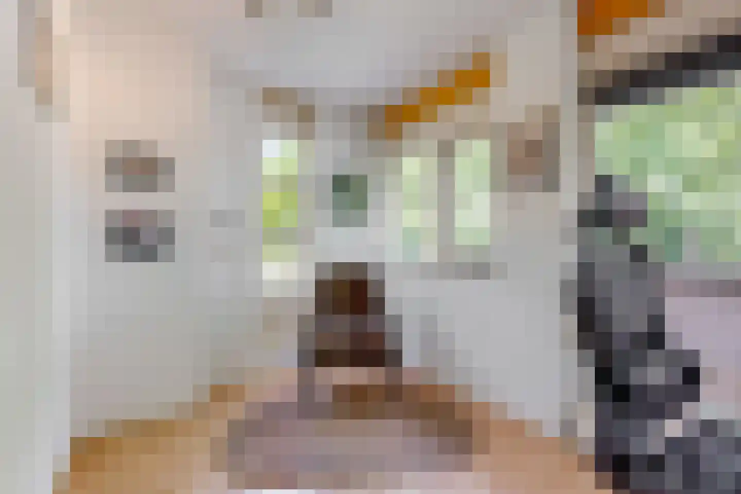 Vegmolaan 14 Leiderdorp thumbnail 18