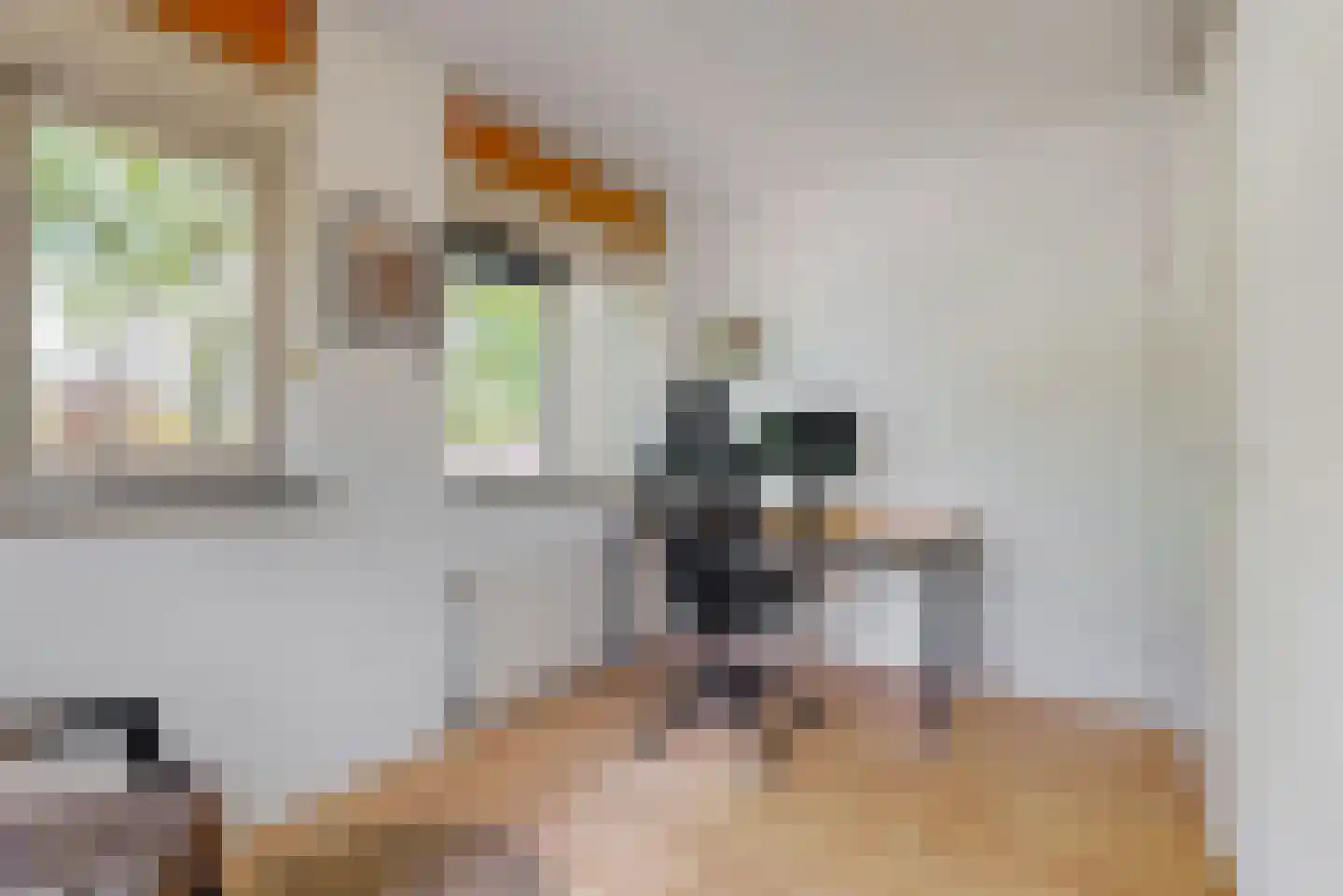 Vegmolaan 14 Leiderdorp thumbnail 19