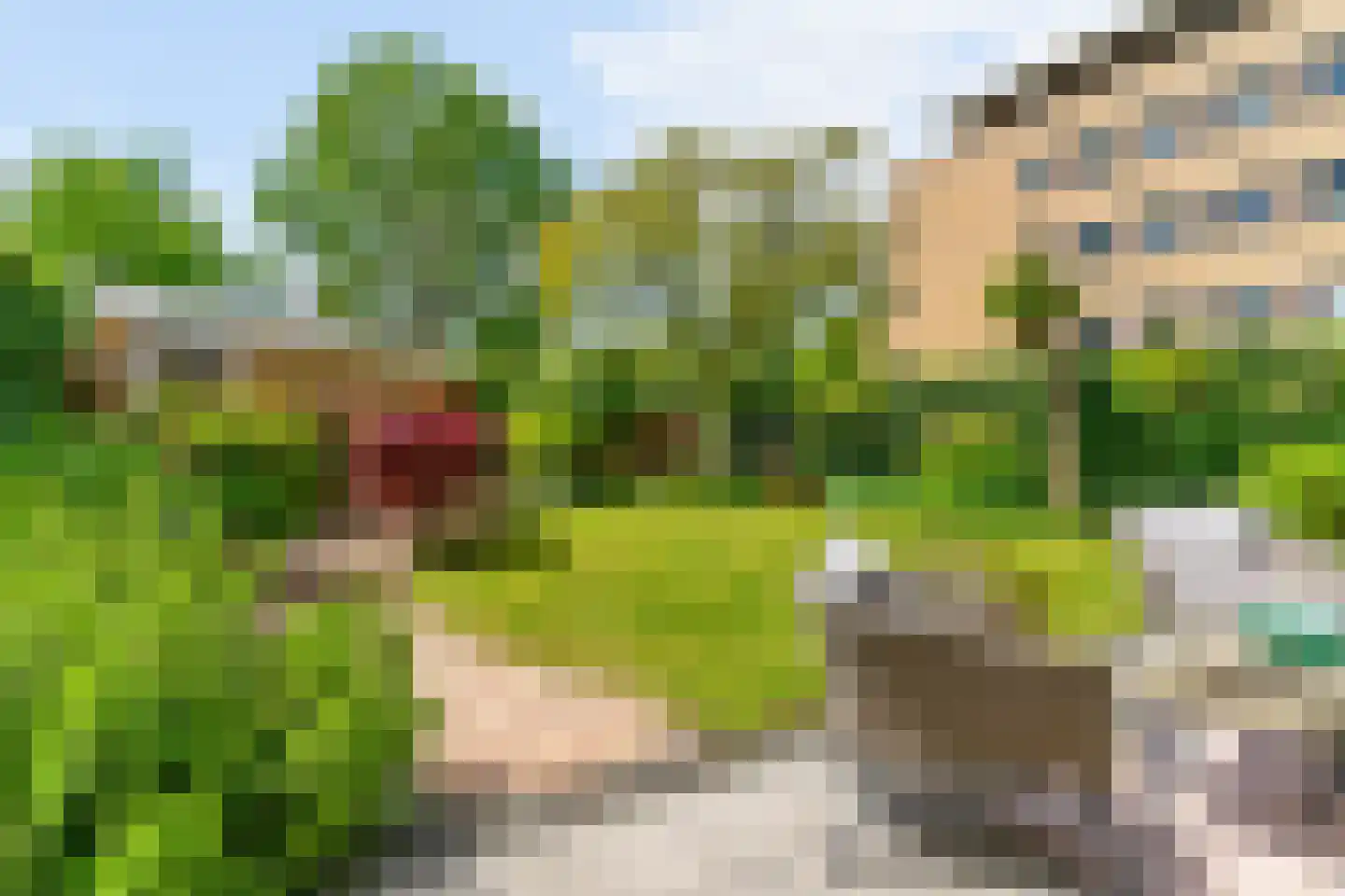 Vegmolaan 14 Leiderdorp thumbnail 33