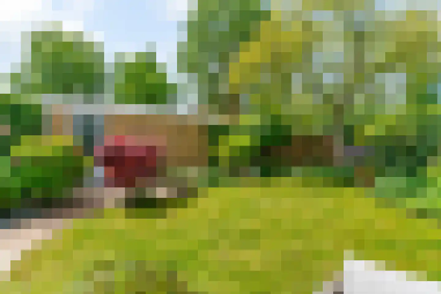 Vegmolaan 14 Leiderdorp thumbnail 35