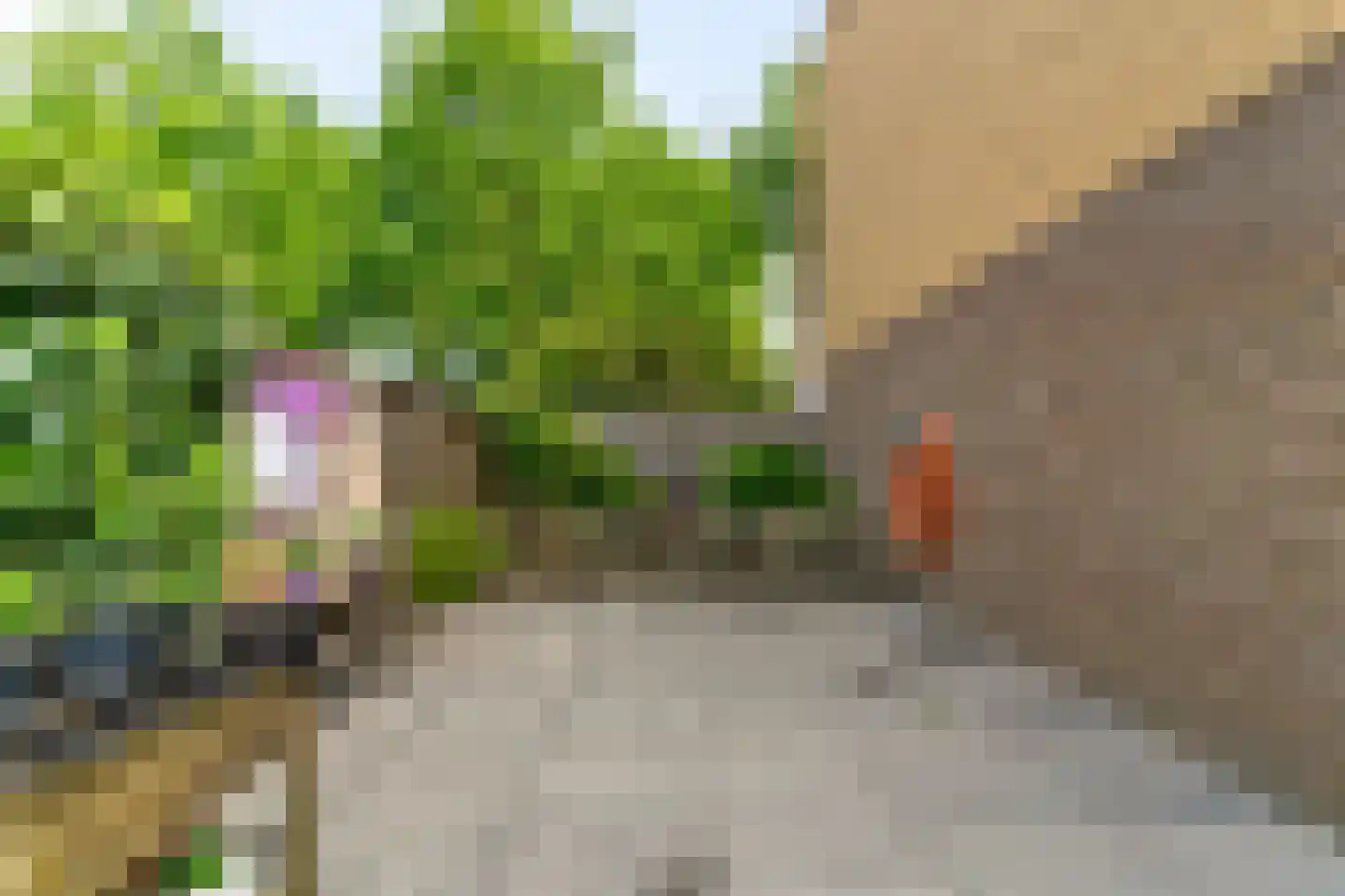 Vegmolaan 14 Leiderdorp thumbnail 41
