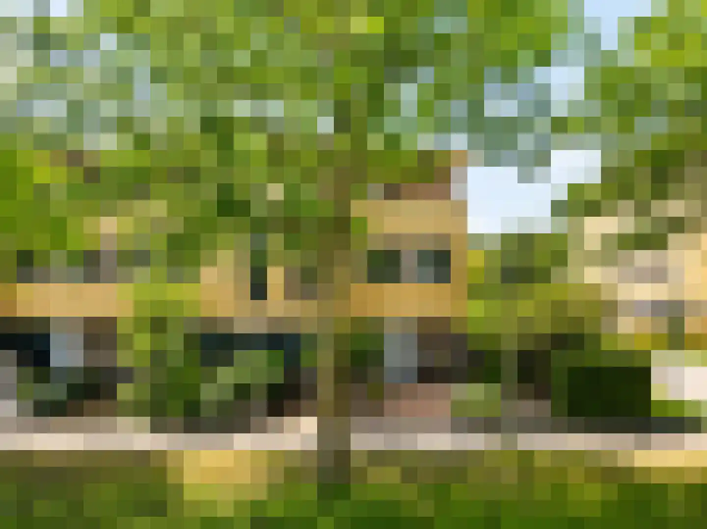 Vegmolaan 14 Leiderdorp thumbnail 44