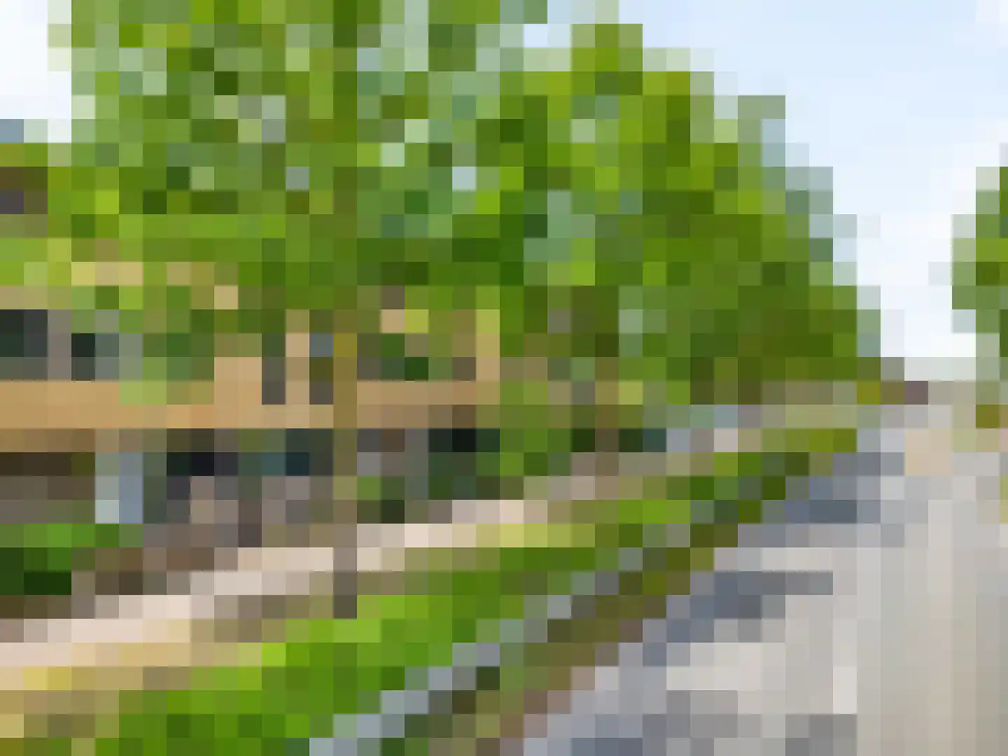Vegmolaan 14 Leiderdorp thumbnail 46