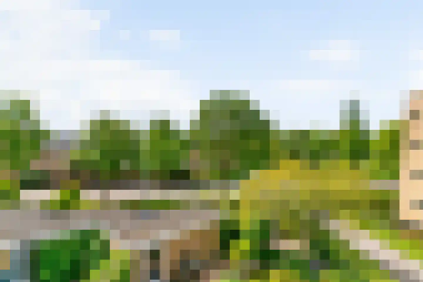 Vegmolaan 14 Leiderdorp thumbnail 48