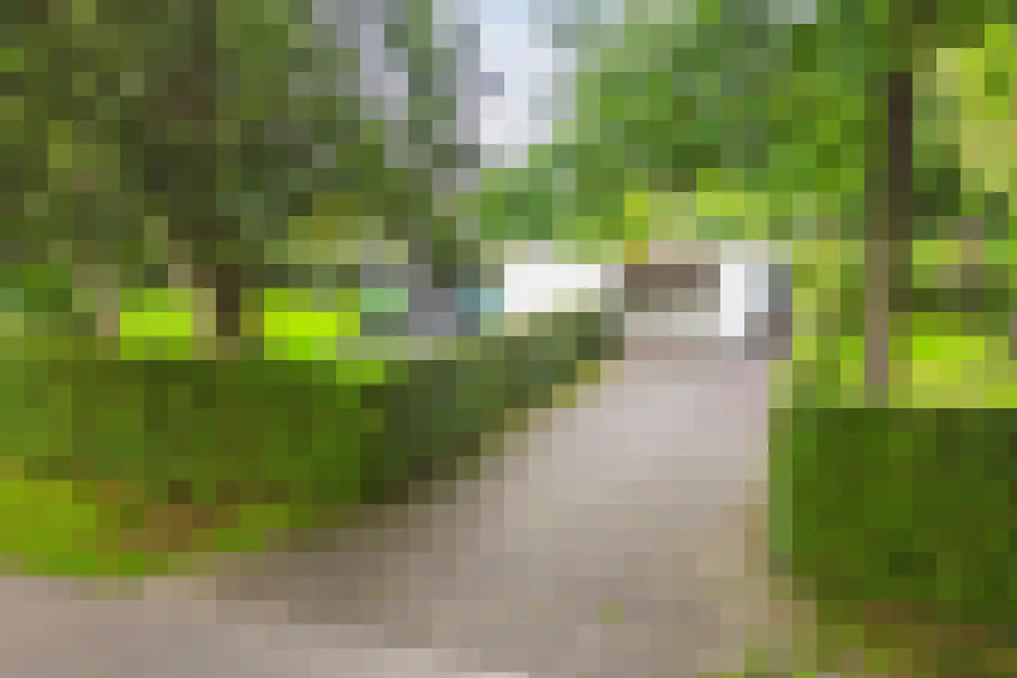 Veilig Oord 12 Bladel foto 2
