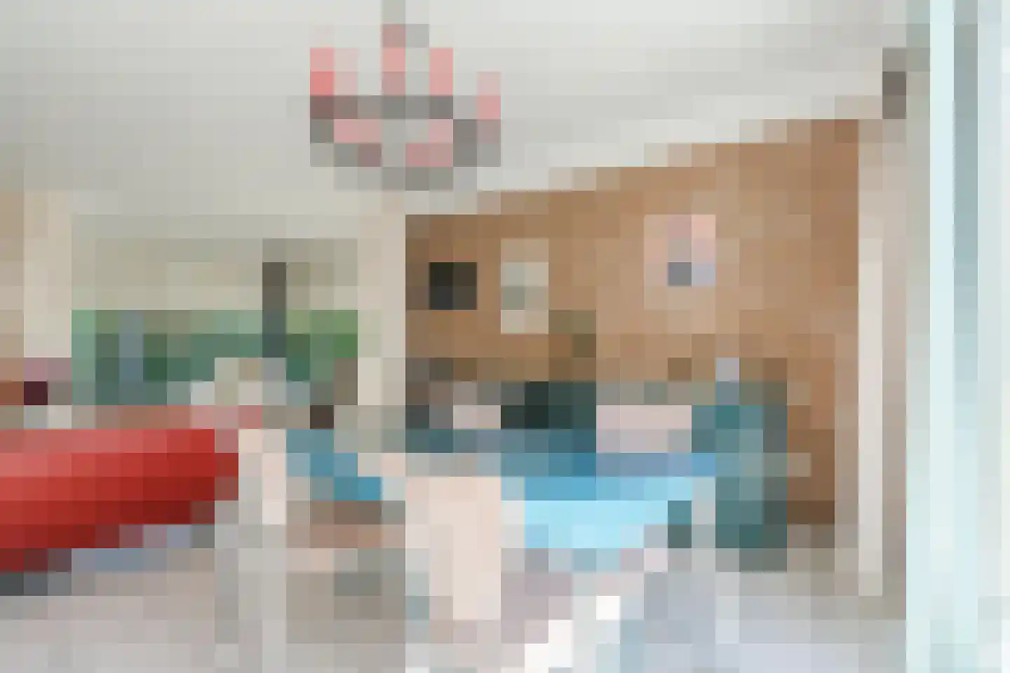 Veilig Oord 12 Bladel thumbnail 25