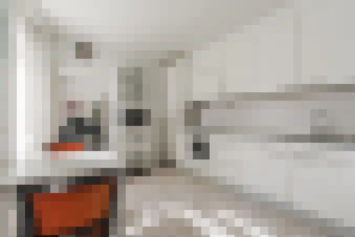 Veilig Oord 12 Bladel thumbnail 32
