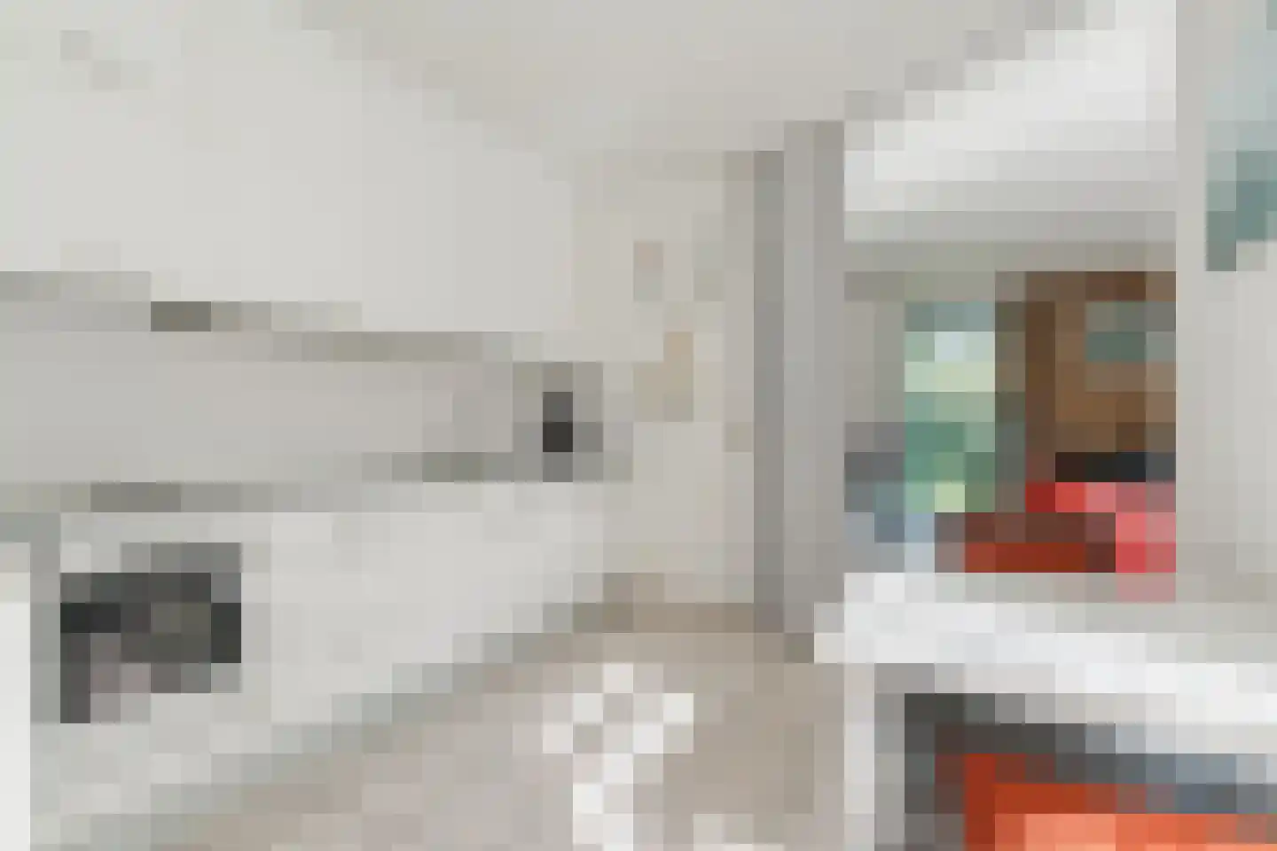 Veilig Oord 12 Bladel thumbnail 33