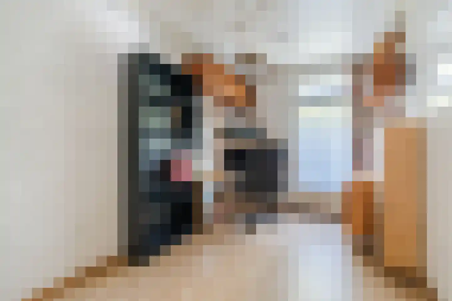Veilig Oord 12 Bladel thumbnail 44