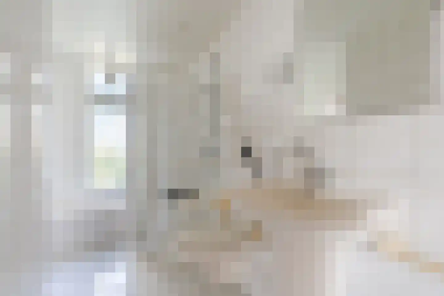 Veilig Oord 12 Bladel thumbnail 46