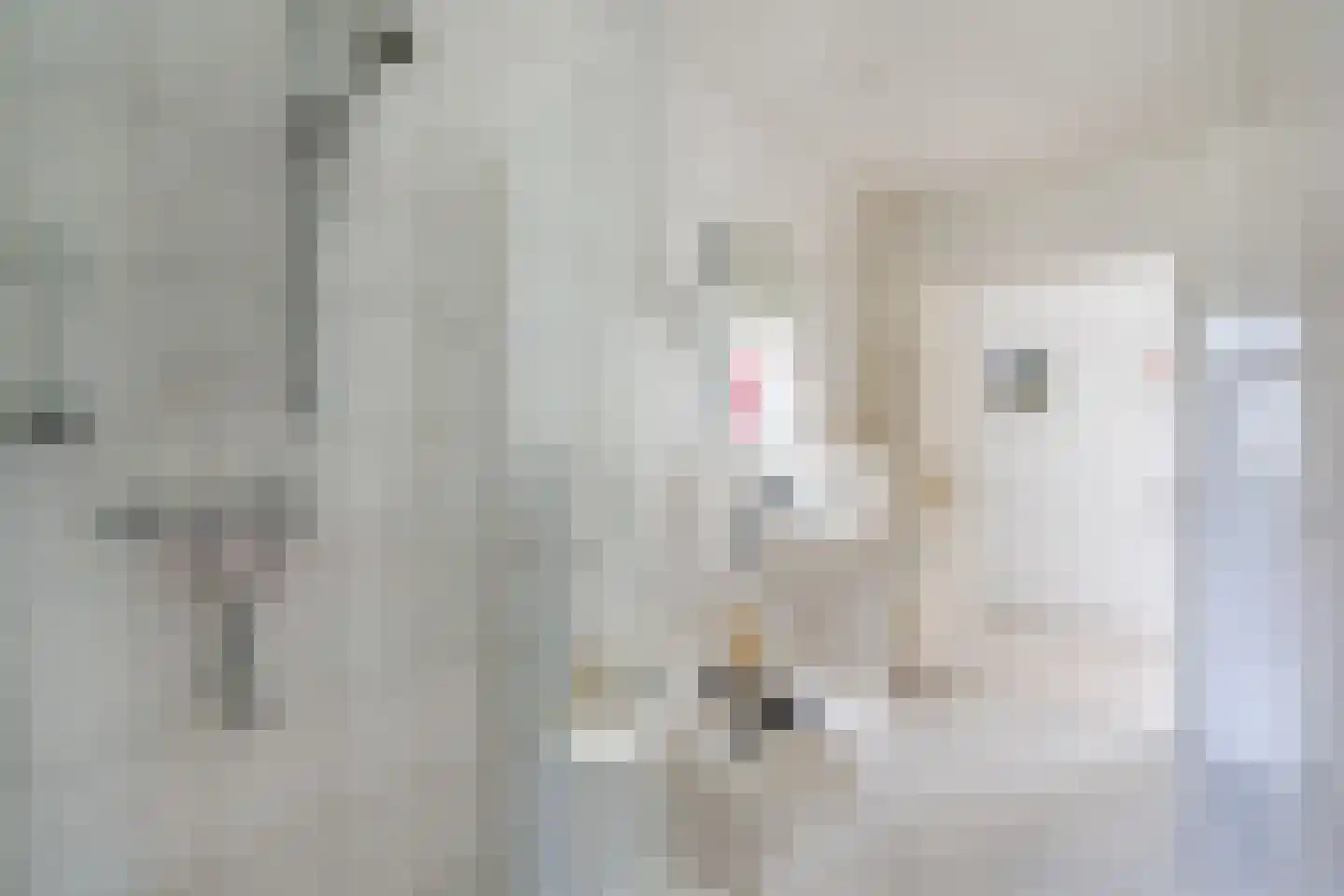Veilig Oord 12 Bladel thumbnail 49