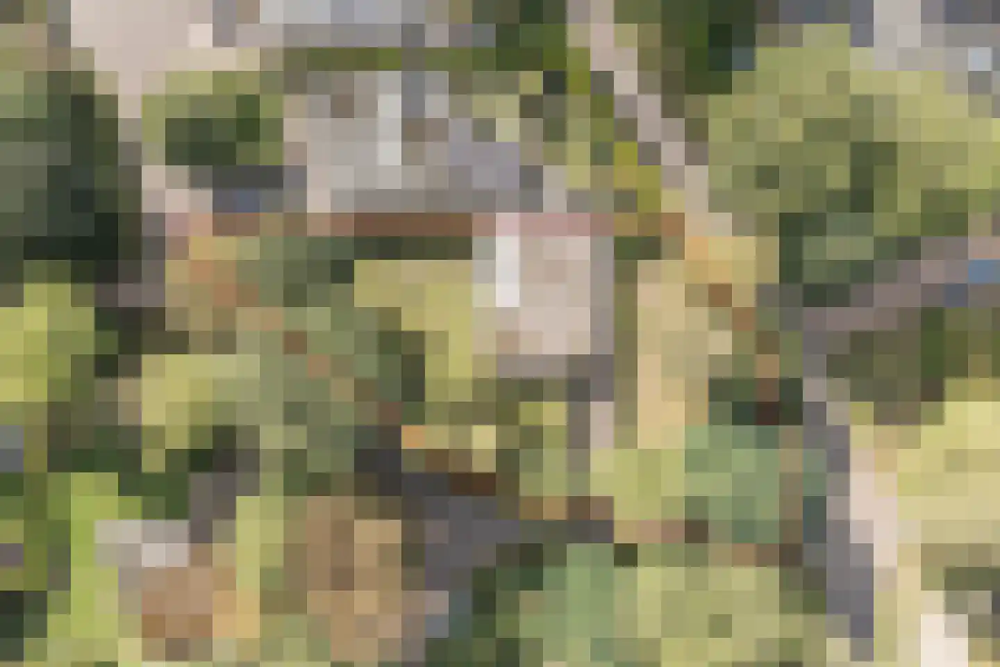 Veilig Oord 12 Bladel thumbnail 5