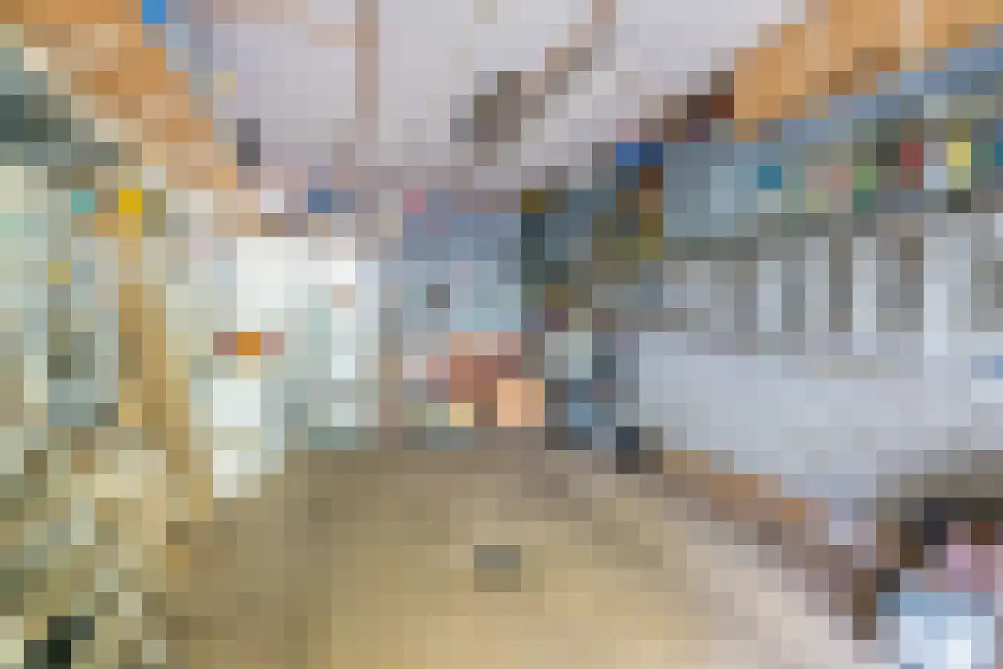 Veilig Oord 12 Bladel thumbnail 51