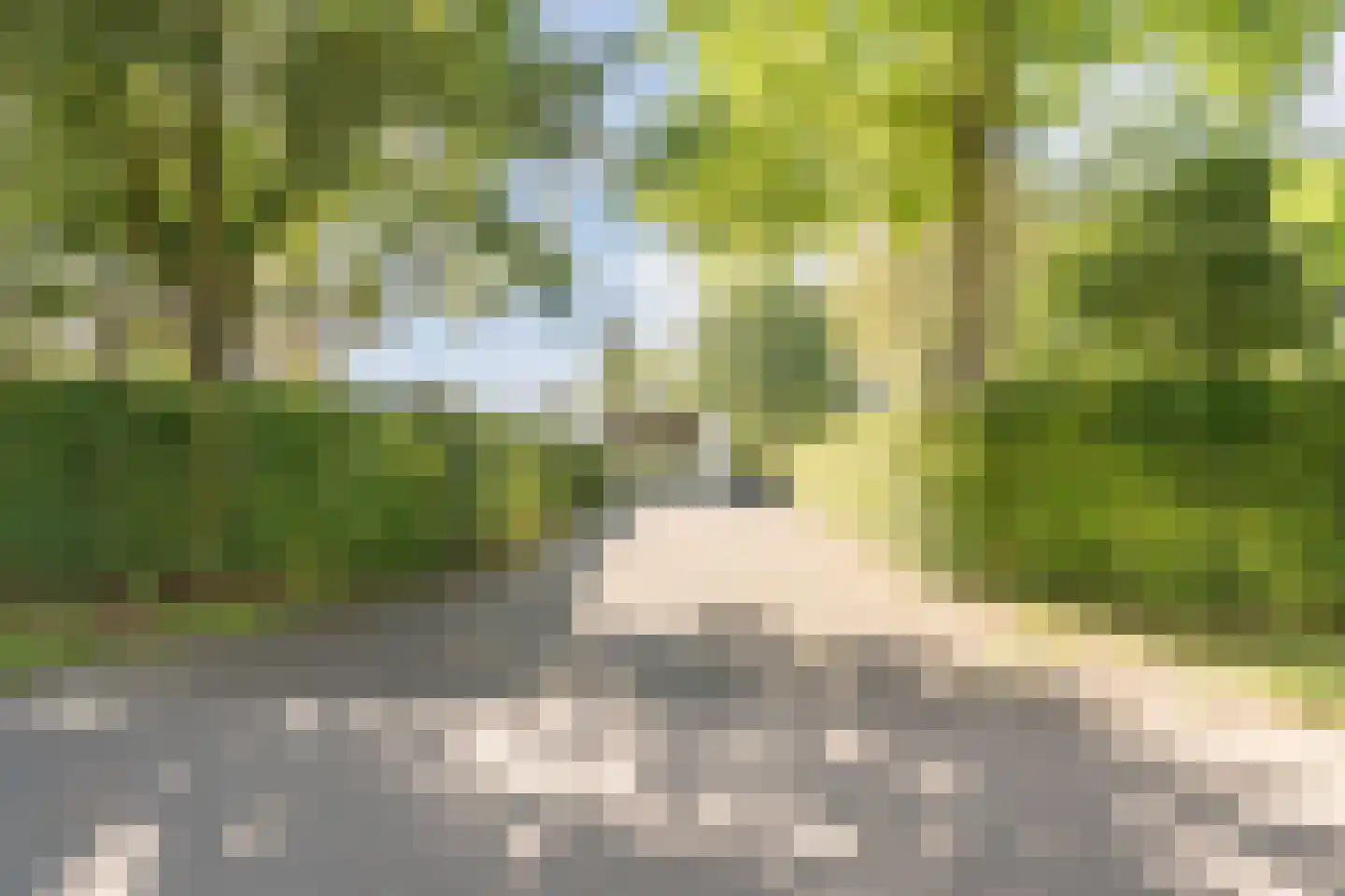 Veilig Oord 12 Bladel thumbnail 52