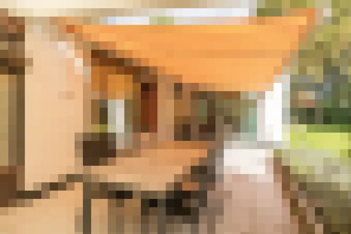 Veilig Oord 12 Bladel thumbnail 56