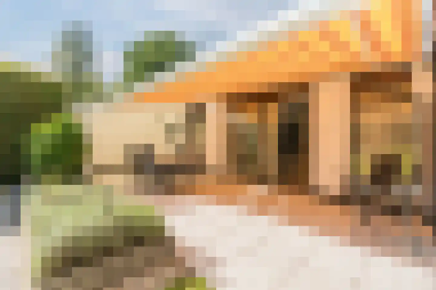 Veilig Oord 12 Bladel thumbnail 58