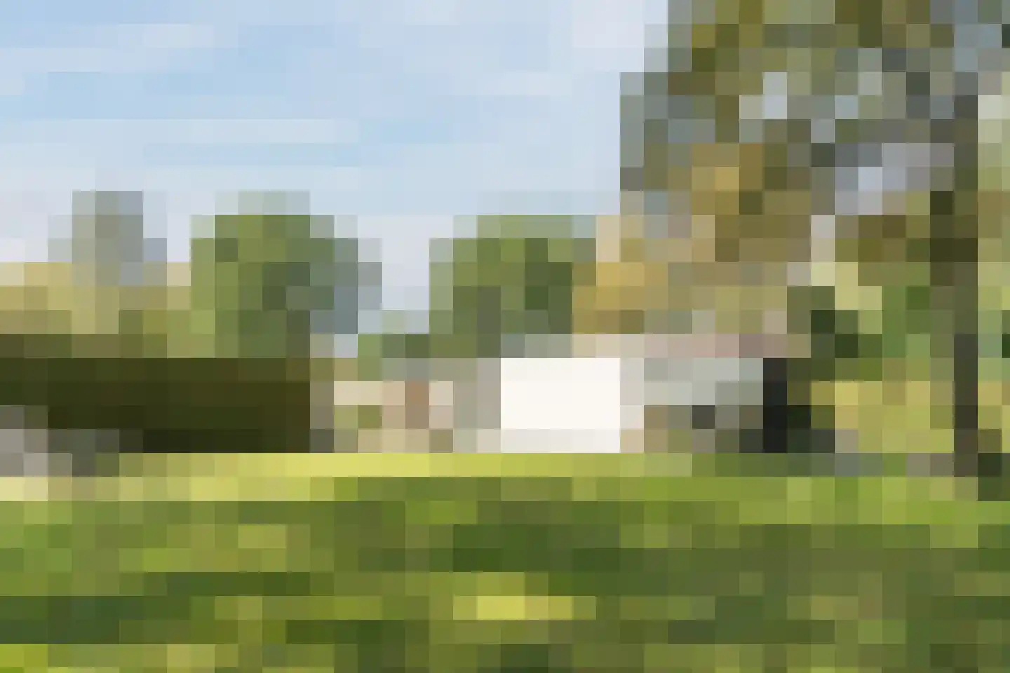 Veilig Oord 12 Bladel thumbnail 62