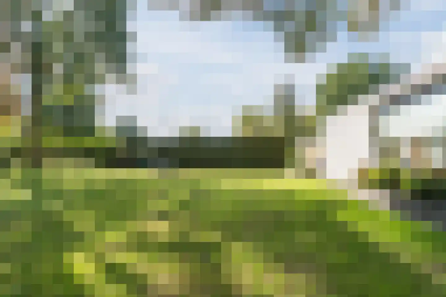 Veilig Oord 12 Bladel thumbnail 63