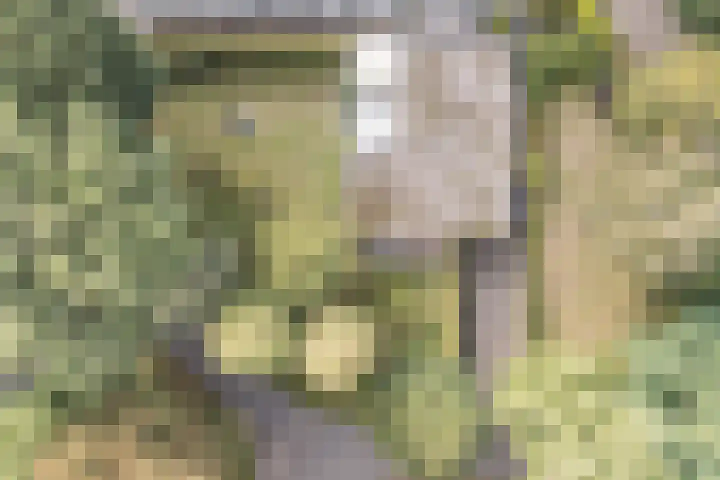 Veilig Oord 12 Bladel thumbnail 66