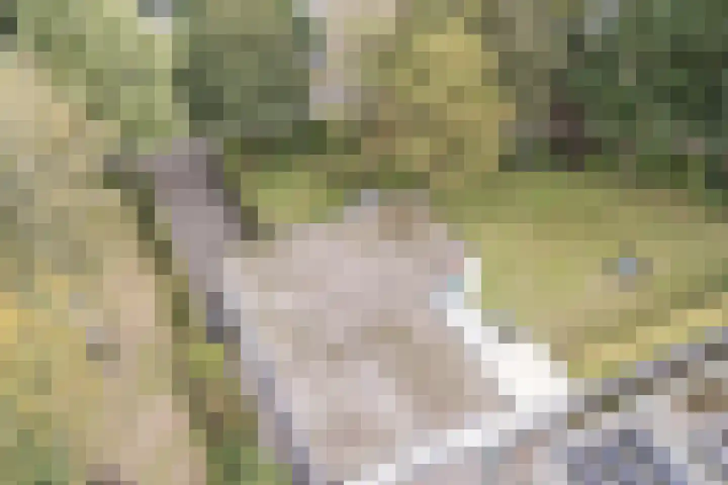 Veilig Oord 12 Bladel thumbnail 67