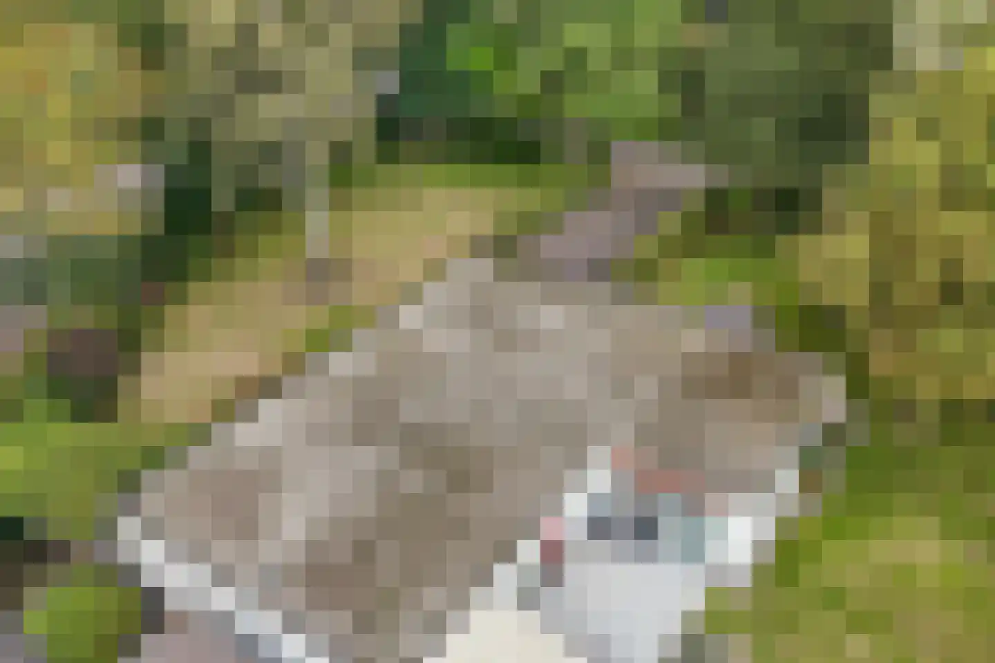 Veilig Oord 12 Bladel thumbnail 69
