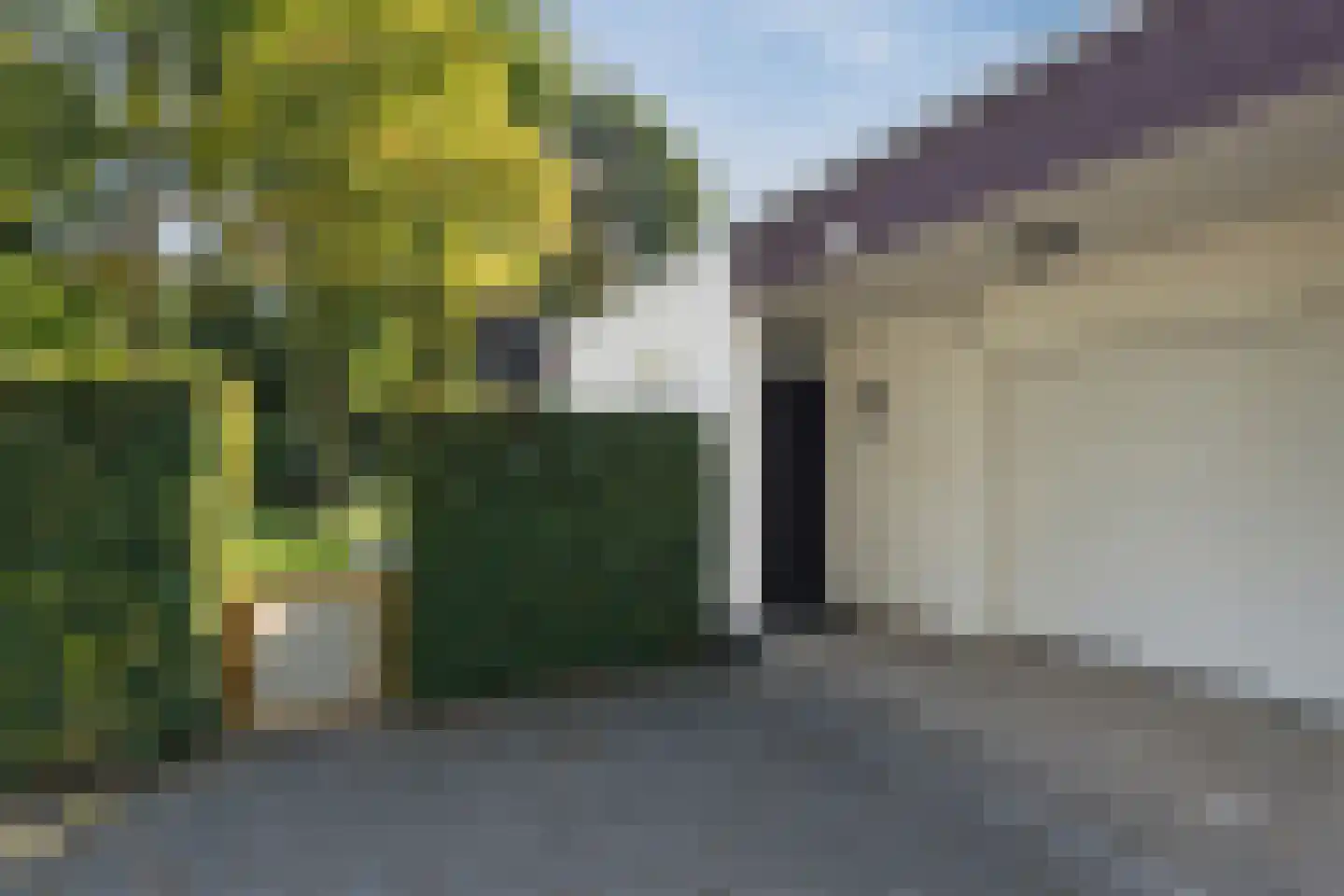 Veilig Oord 12 Bladel thumbnail 7