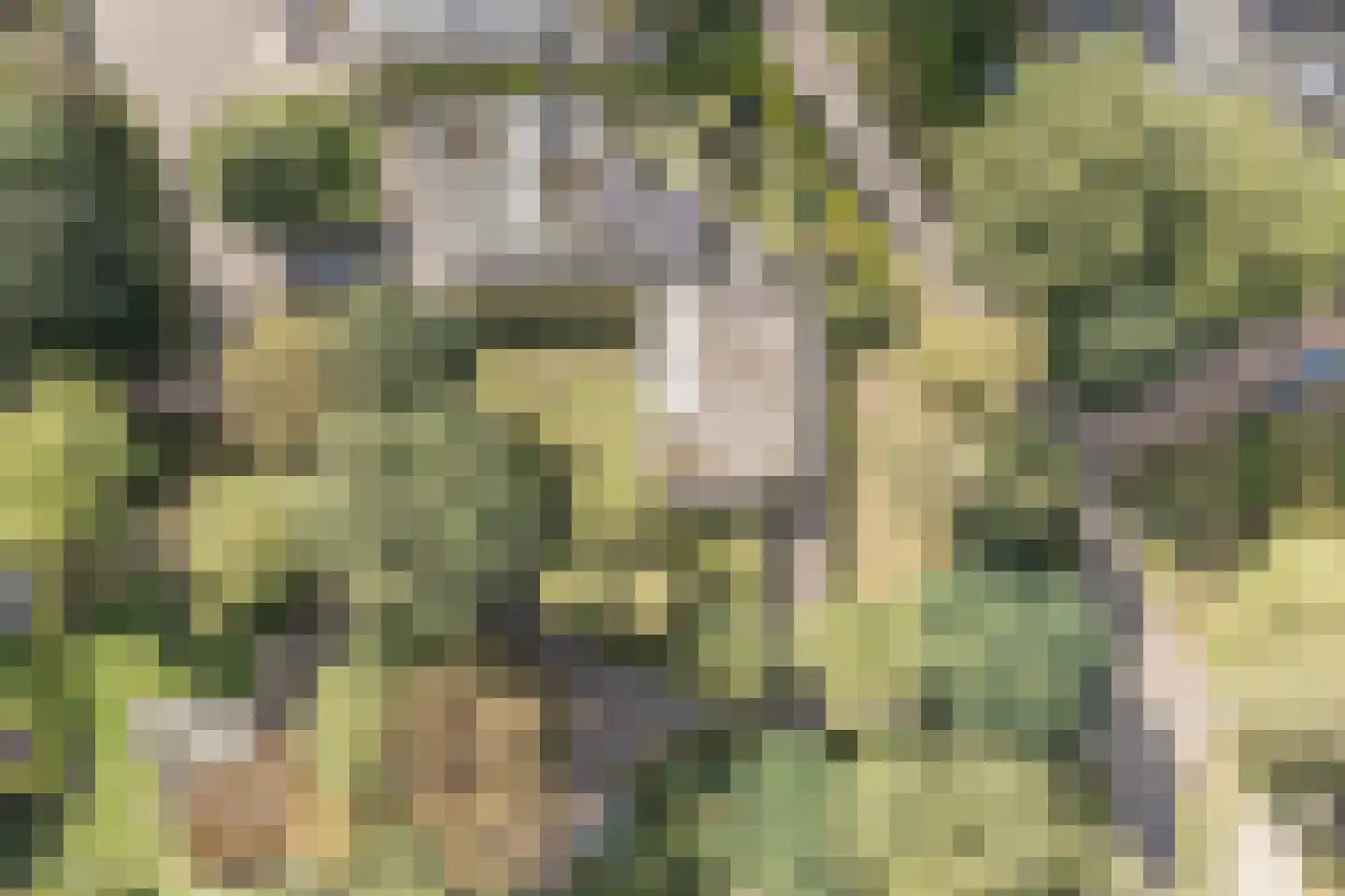 Veilig Oord 12 Bladel thumbnail 71
