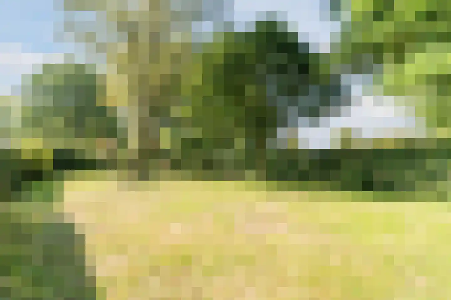 Veilig Oord 12 Bladel thumbnail 73