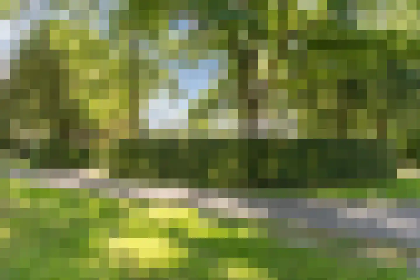 Veilig Oord 12 Bladel thumbnail 74