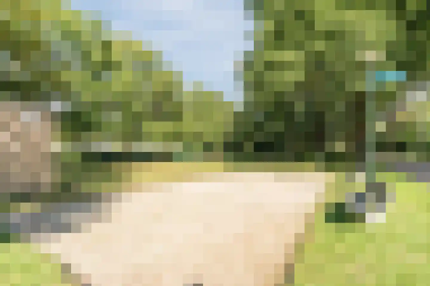 Veilig Oord 12 Bladel thumbnail 76