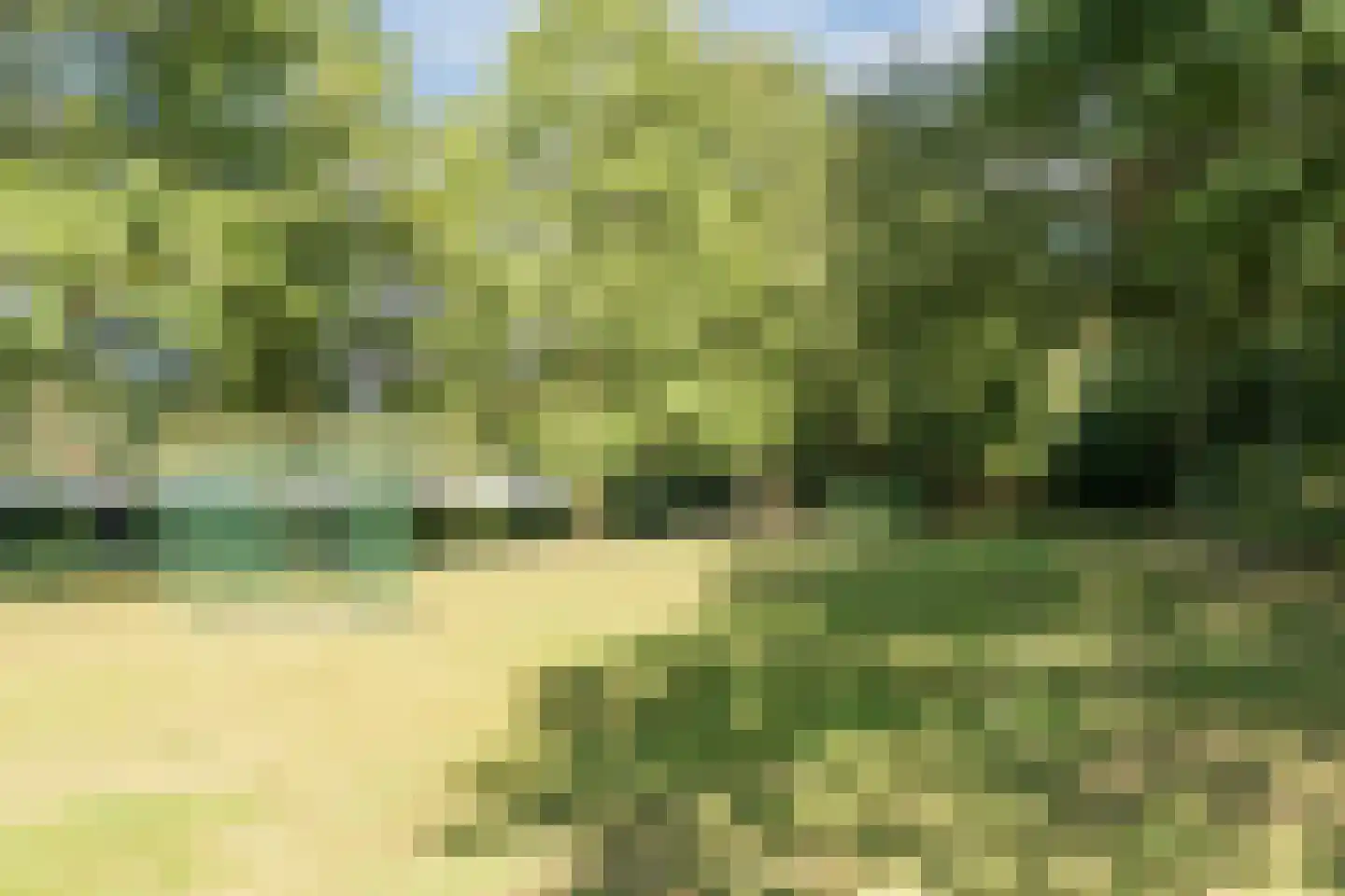 Veilig Oord 12 Bladel thumbnail 77