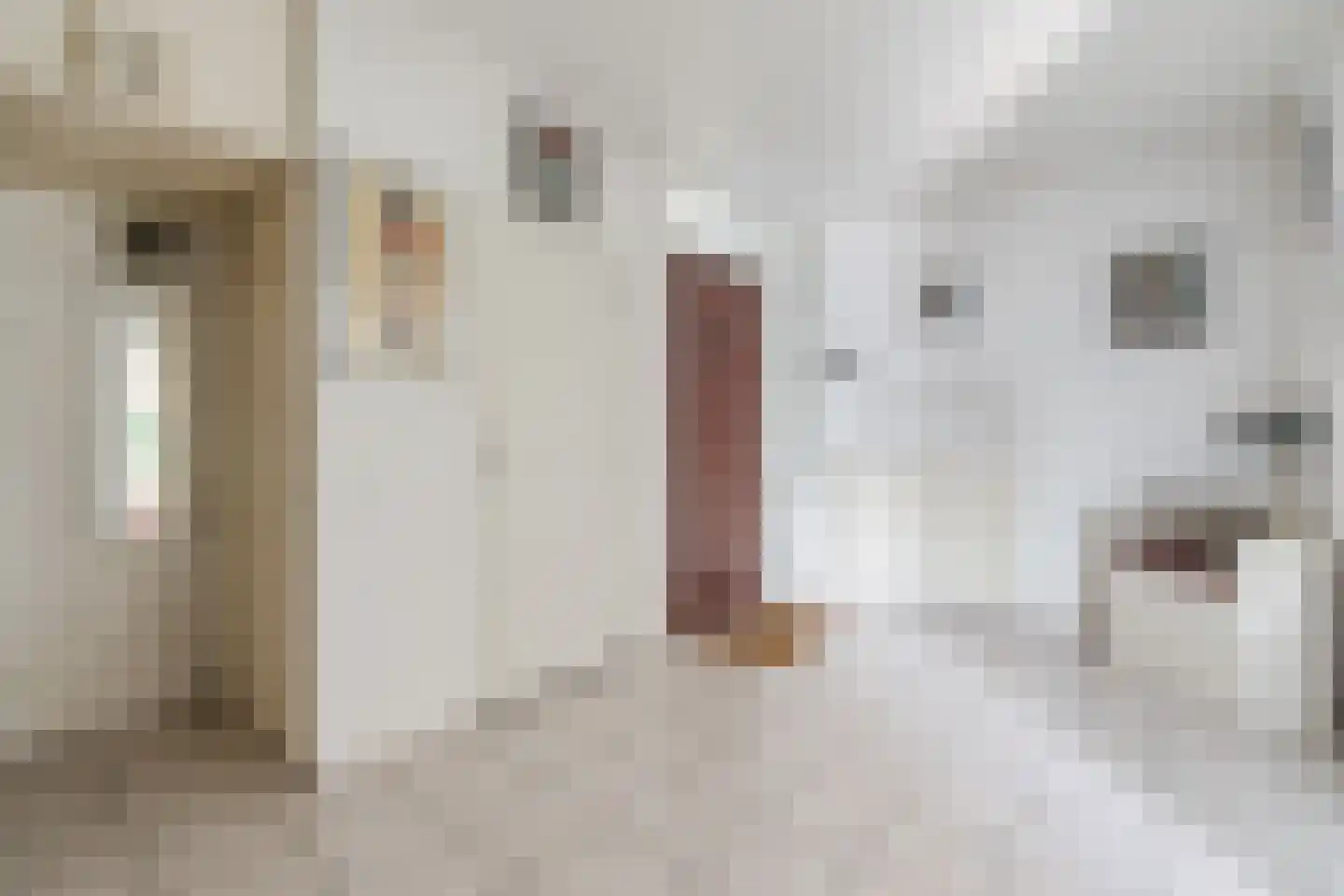 Veilig Oord 12 Bladel thumbnail 9