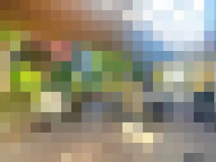 Veilig Oord 13 Bladel thumbnail 10