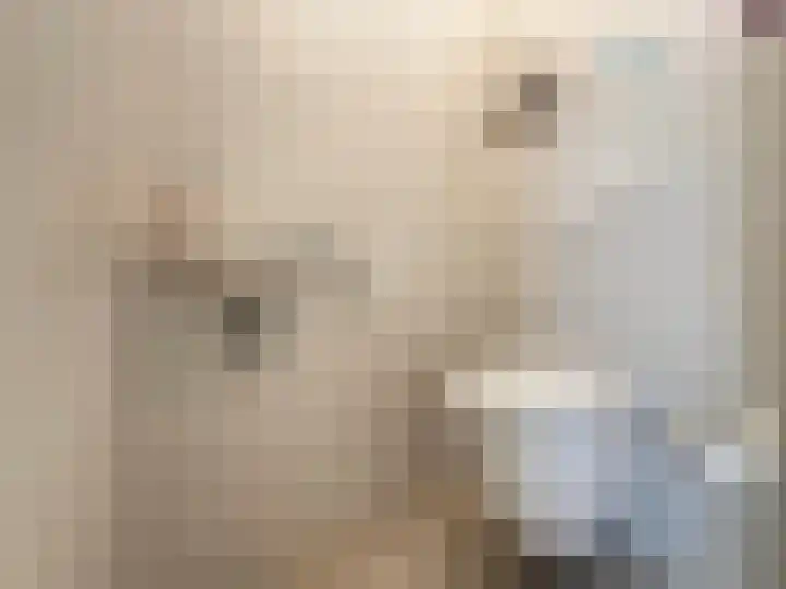 Veilig Oord 13 Bladel thumbnail 12