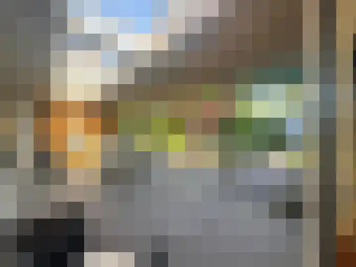 Veilig Oord 13 Bladel thumbnail 17
