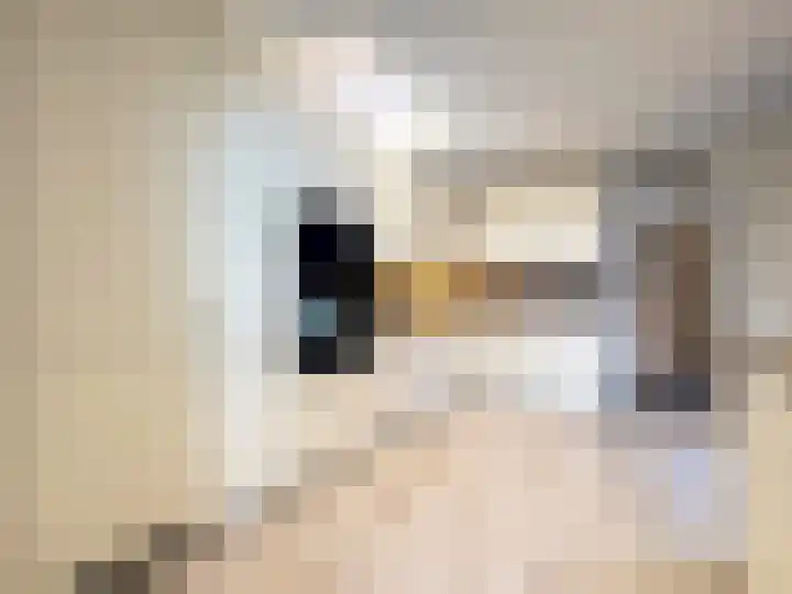 Veilig Oord 13 Bladel thumbnail 19