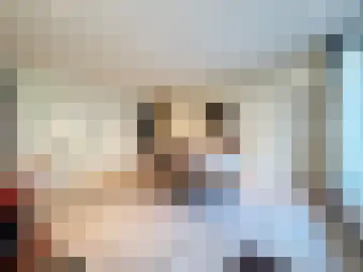 Veilig Oord 13 Bladel thumbnail 22