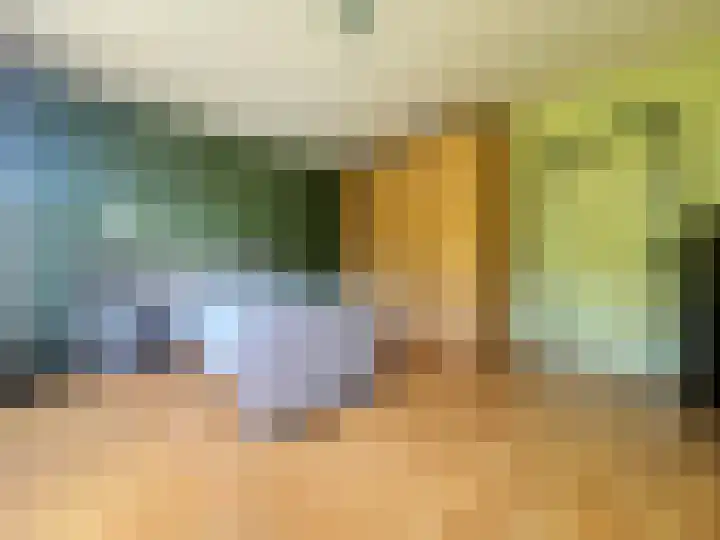 Veilig Oord 13 Bladel thumbnail 26